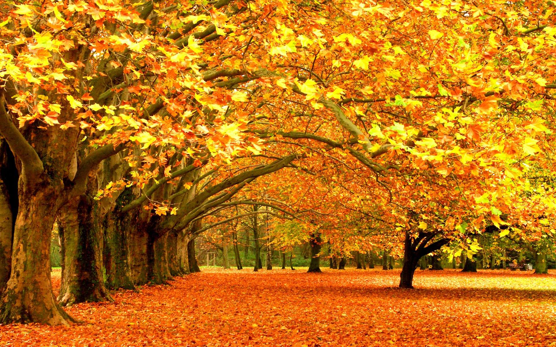 Deepening Mastery Retreat