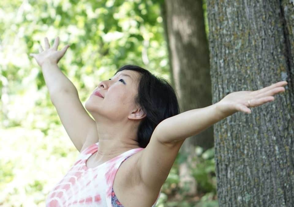 Spring Forest Qigong Level One Workshop